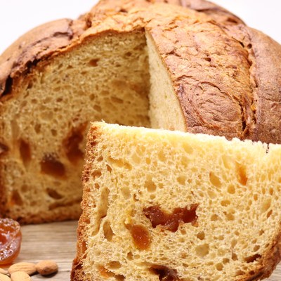 Classico Panettone con GranAntico